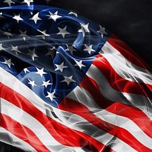 Meet your Posher, Roy